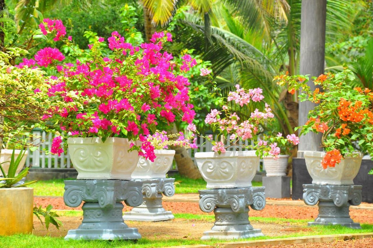Canal Villa Bentota Exterior photo